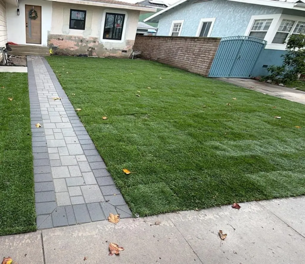 Front Yard Landscaping