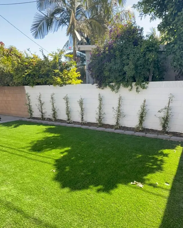 Clean backyard turf and plant installation Los Angeles